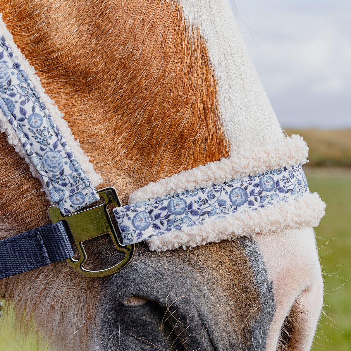 Cath Kidston Headcollar Rope Set: Blue Strawberry