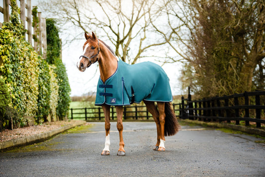 Equisential Shannon Air Cooler Rug