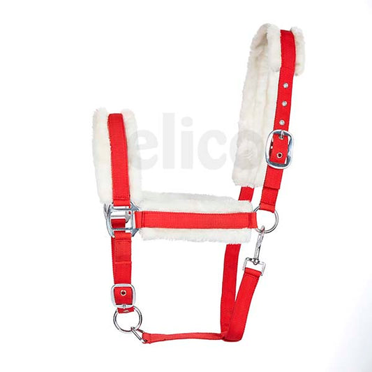 Elico Christmas Headcollar