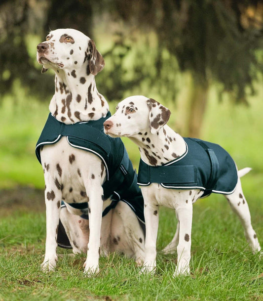 Waldhausen Dog Raincoat Fir Green