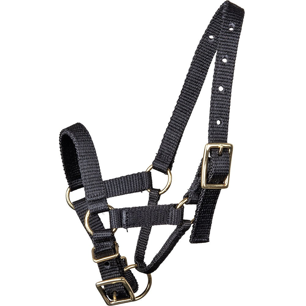 Alpaca Halter