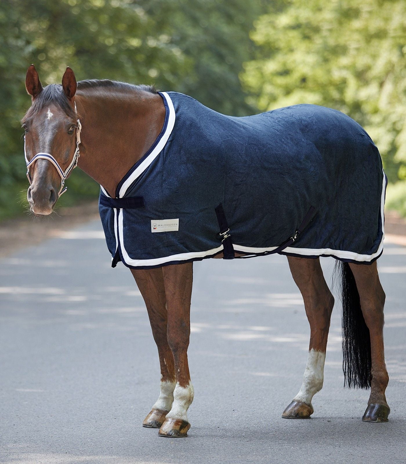 Waldhausen Esperia Comfort Two Fleece Rug
