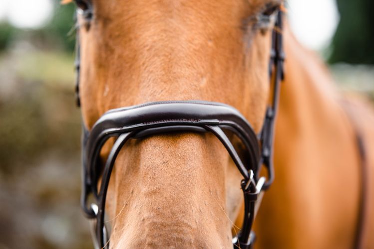 Mackey Legend Athena Bridle