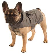 Kerbl Seattle Raincoat Dog Coat