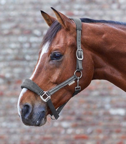 Waldhausen Alcantara Halter (Headcollar)