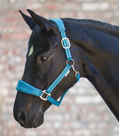 Waldhausen Alcantara Halter (Headcollar)