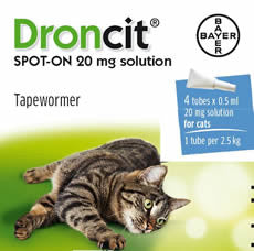 Droncit Spot-On Tubes for Cats