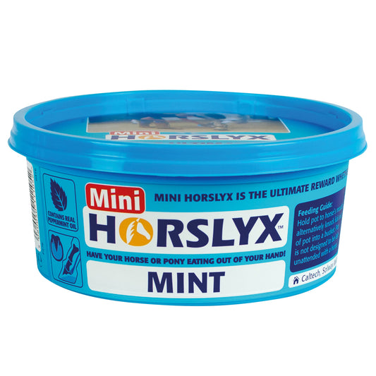 Horslyx Mint Balancer