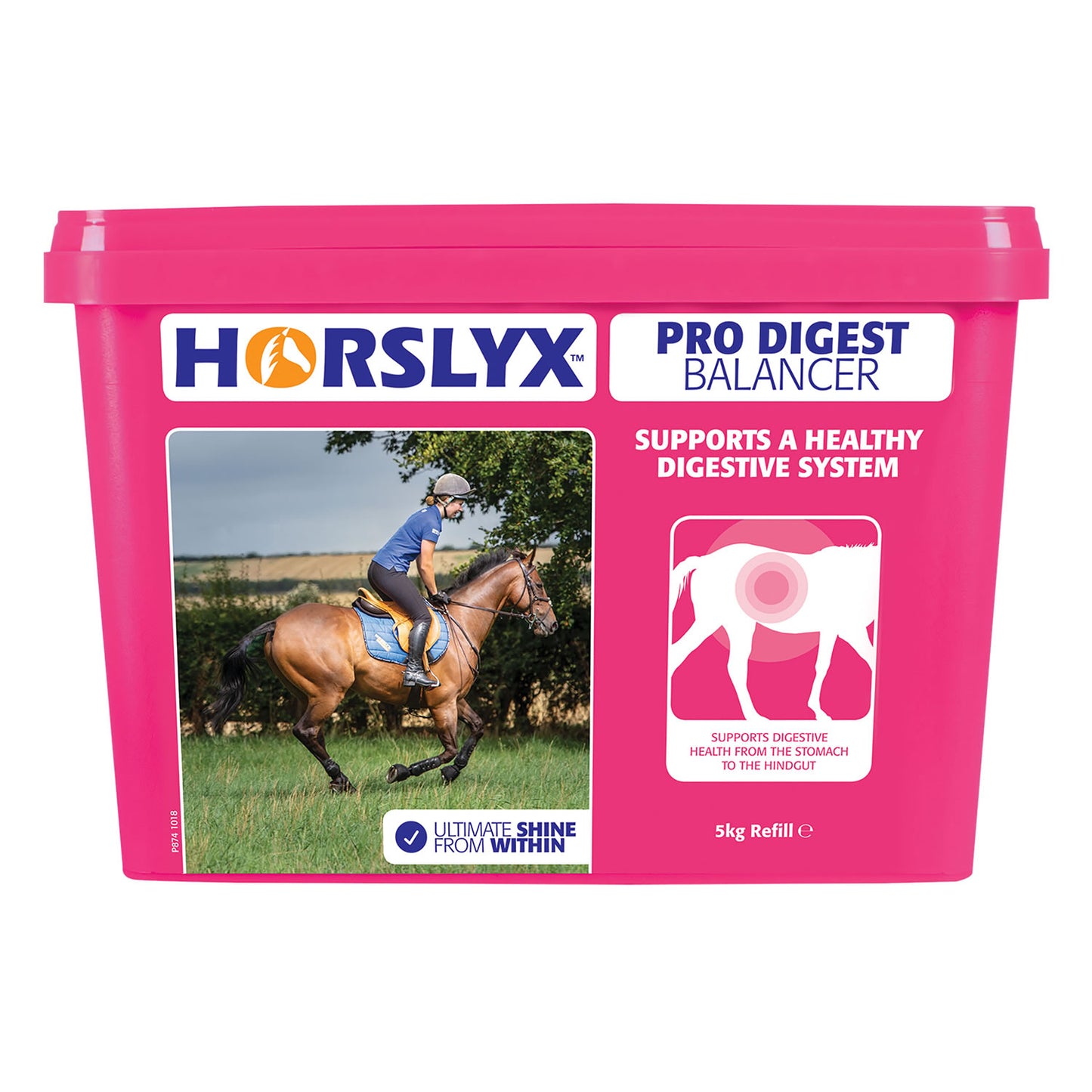 Horslyx Pro Digest Balancer