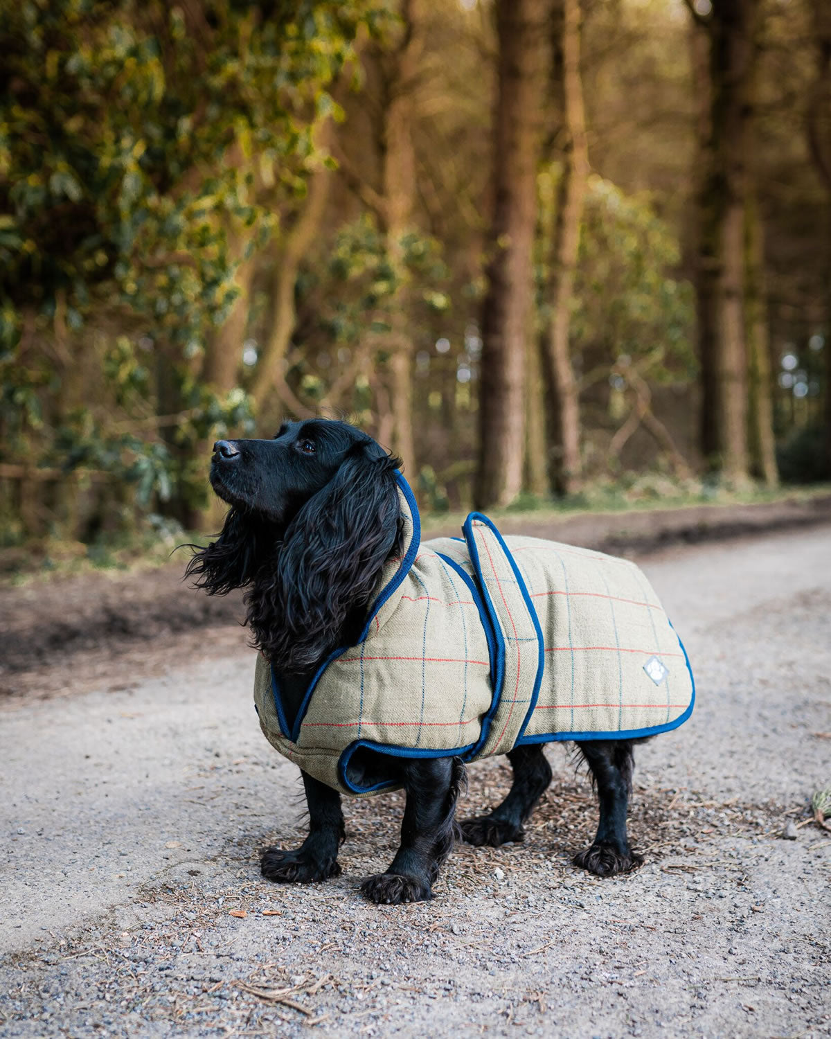 Danish Design Tweed Dog Coat