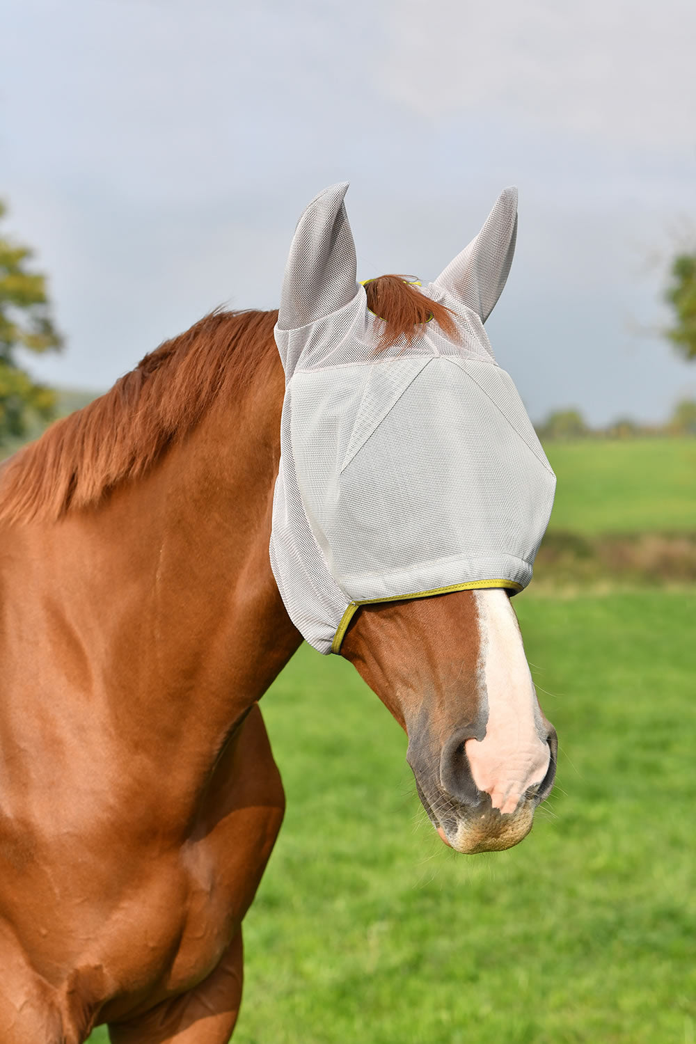 Equilibrium Field Relief Midi Fly Mask With Ears