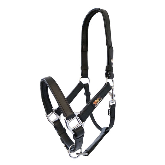 Equilibrium Stellar Headcollar Black