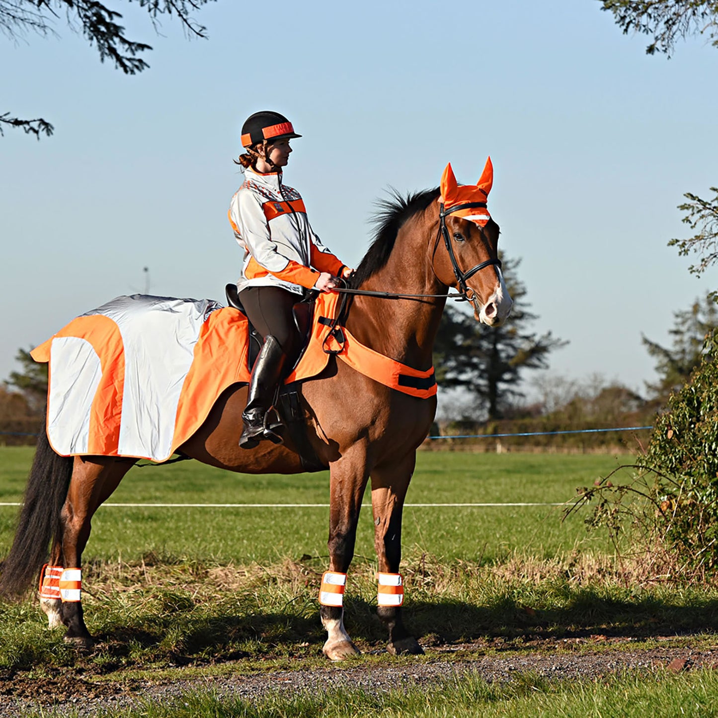 Equisafety Mercury Exercise Rug Orange