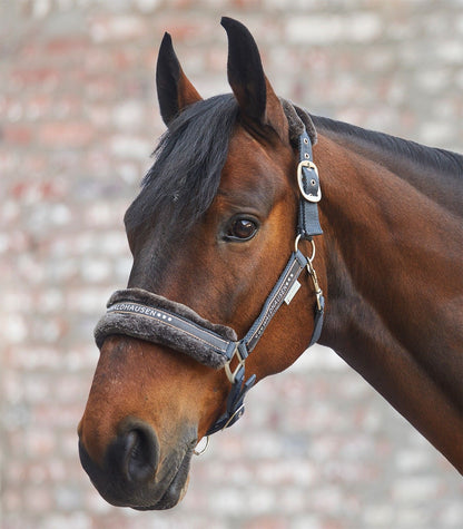 Waldhausen Elegant Halter (Headcollar)