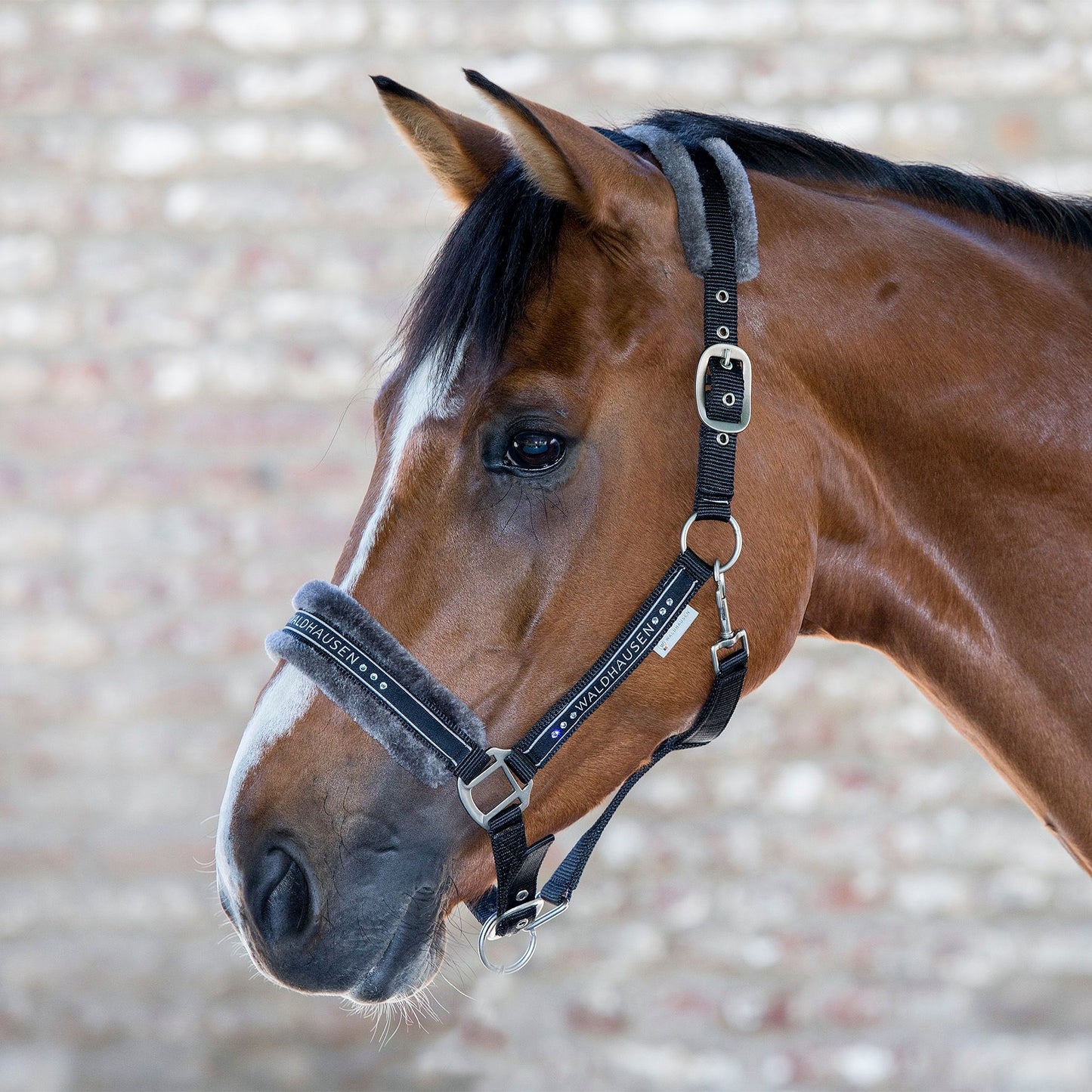 Waldhausen Elegant Halter (Headcollar)