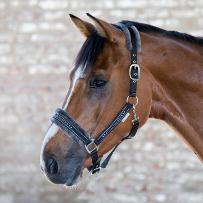 Waldhausen Elegant Halter (Headcollar)