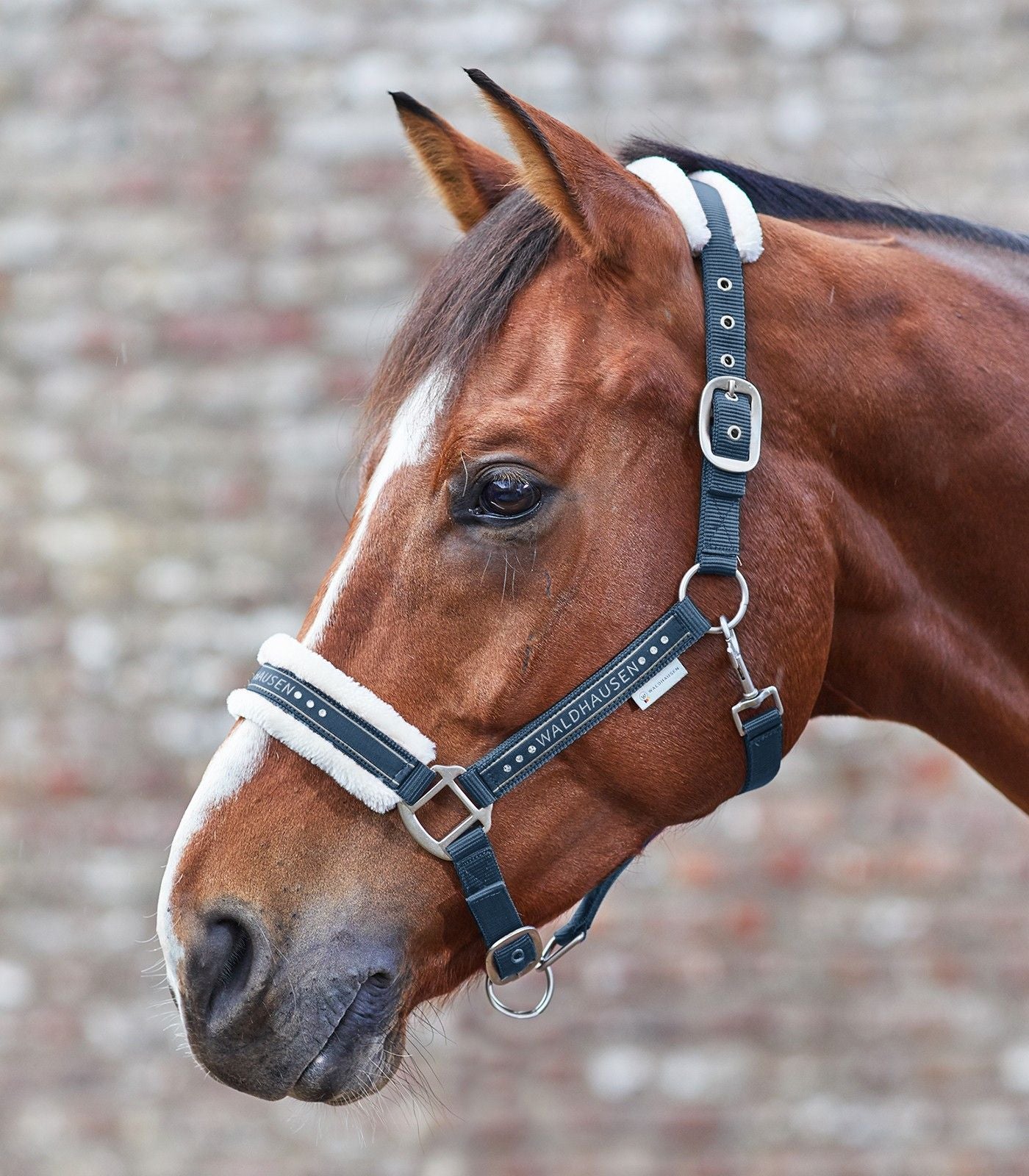 Waldhausen Elegant Halter (Headcollar)