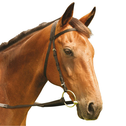 Equisential Nylon Race Exercise Bridle