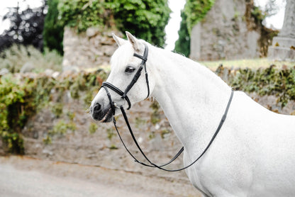 Mackey Legend Flash Bridle