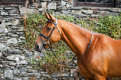 Mackey Legend Flash Bridle