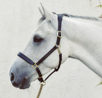 Mackey legend Helios Leather Headcollar