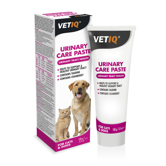 VetIQ Urinary Care Paste for Cats & Dogs - 100 Gm
