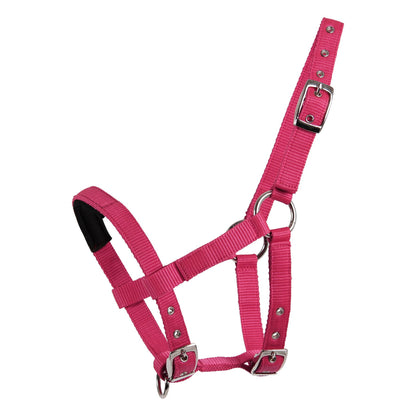 Halter (Headcollar) for Mini Shetties