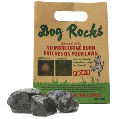 Podium Pet Products Dog Rocks