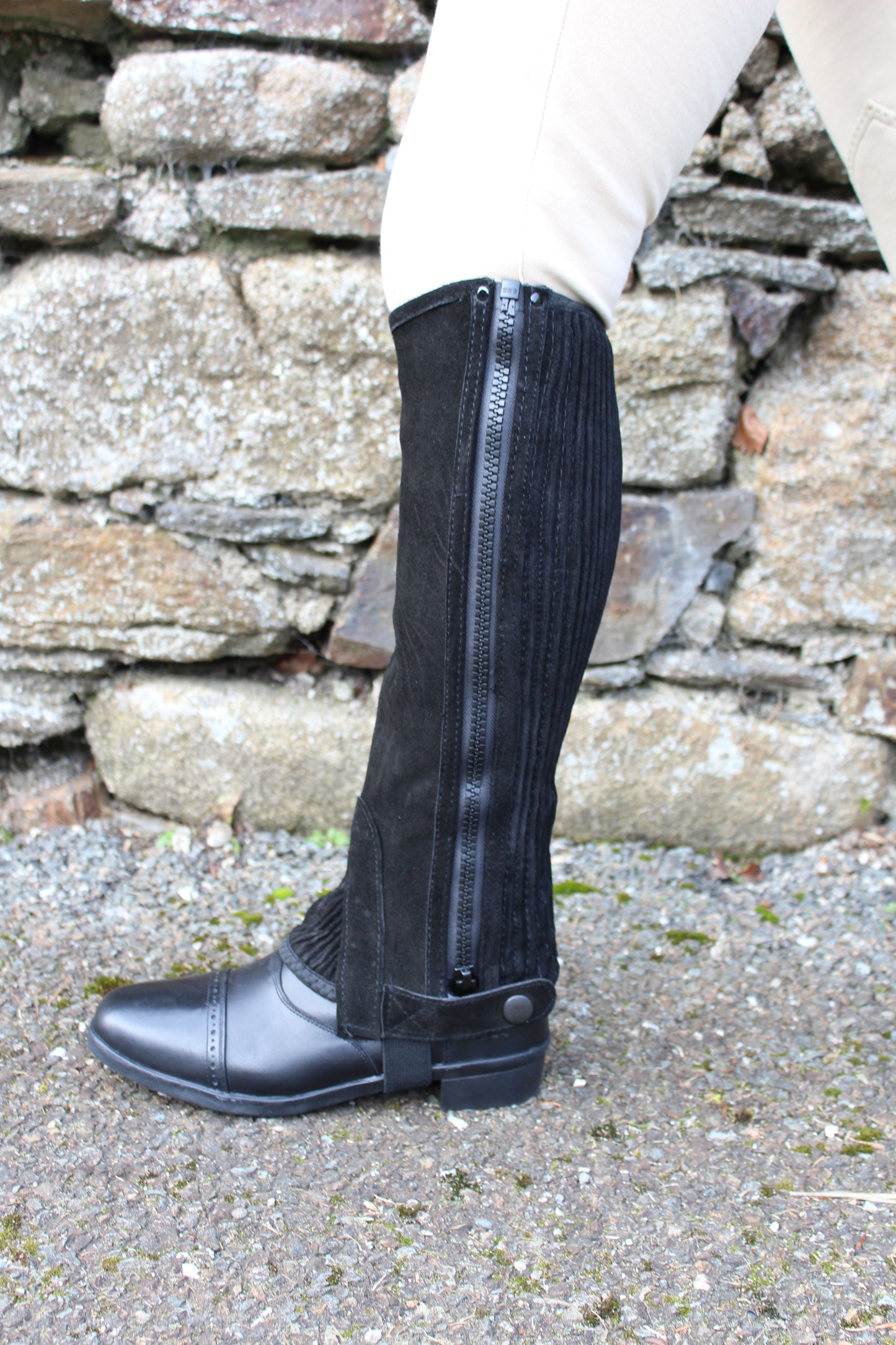 Equisential Suede Half Chaps - Adult