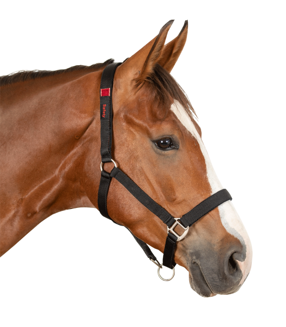 Safety Halter (Headcollar)