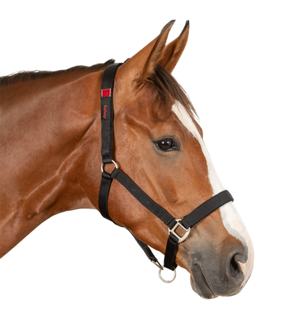 Safety Halter (Headcollar)