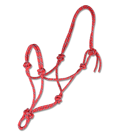 Knotted Halter