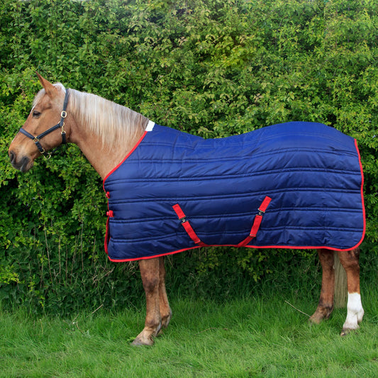 Whitaker Thomas Stable Rug 250 Gm Navy/Red