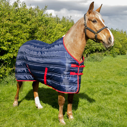 Whitaker Thomas Stable Rug 250 Gm Navy/Red