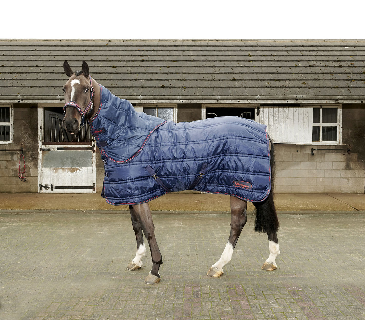 Whitaker Stable Rug Rastrick Combo 250 Gm Navy/White