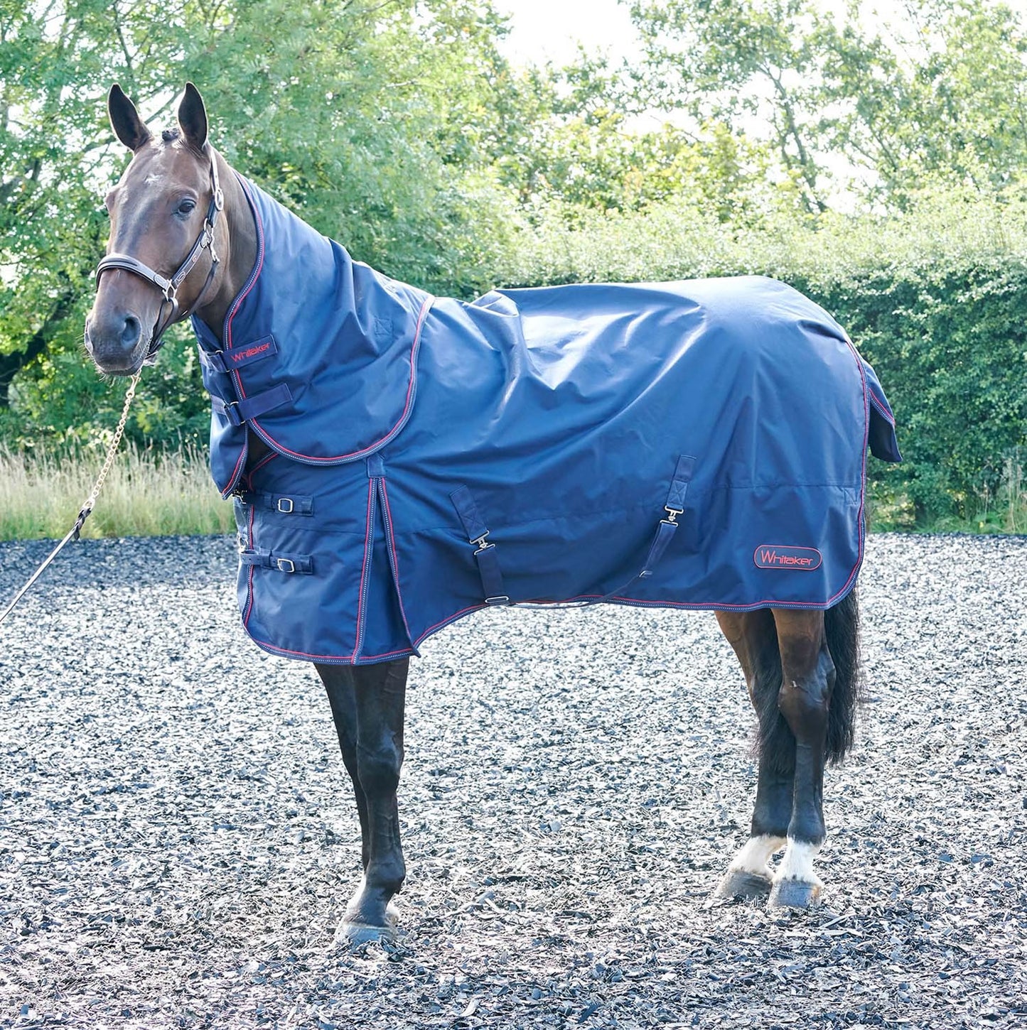 Whitaker Rastrick Turnout Rug Detachable Neck 250 Gm Navy