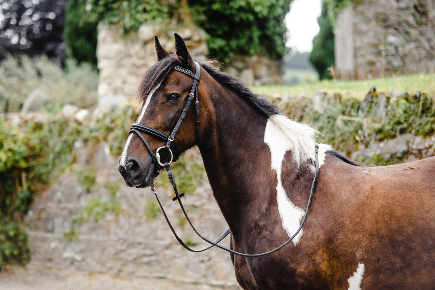 Equisential Bling Bridle