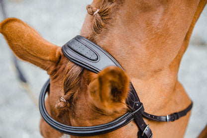 Mackey Legend Athena Bridle