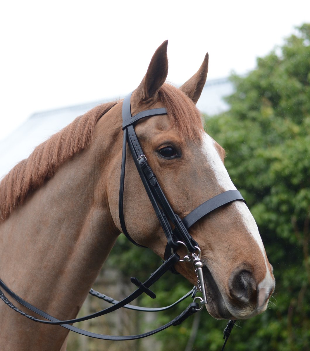 Mackey Classic Double Bridle