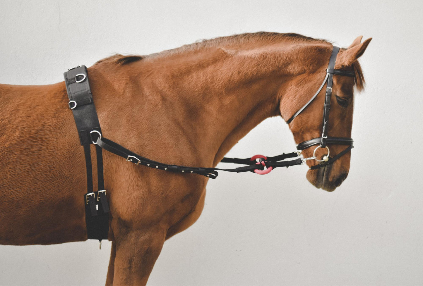 Waldhausen Nylon Side Reins