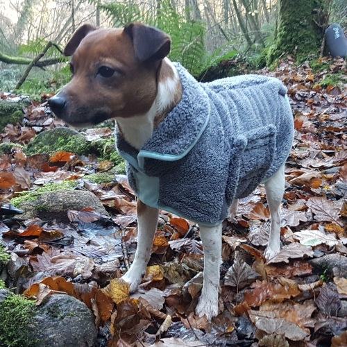 Henry Wag Drying Coat