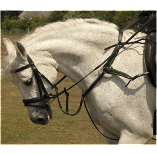 Rhinegold Fivepoint Breastplate - Craftwear Equestrian Online Saddlery