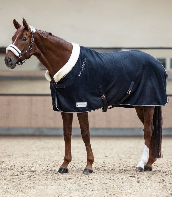 Modern Rose Fleece Rug