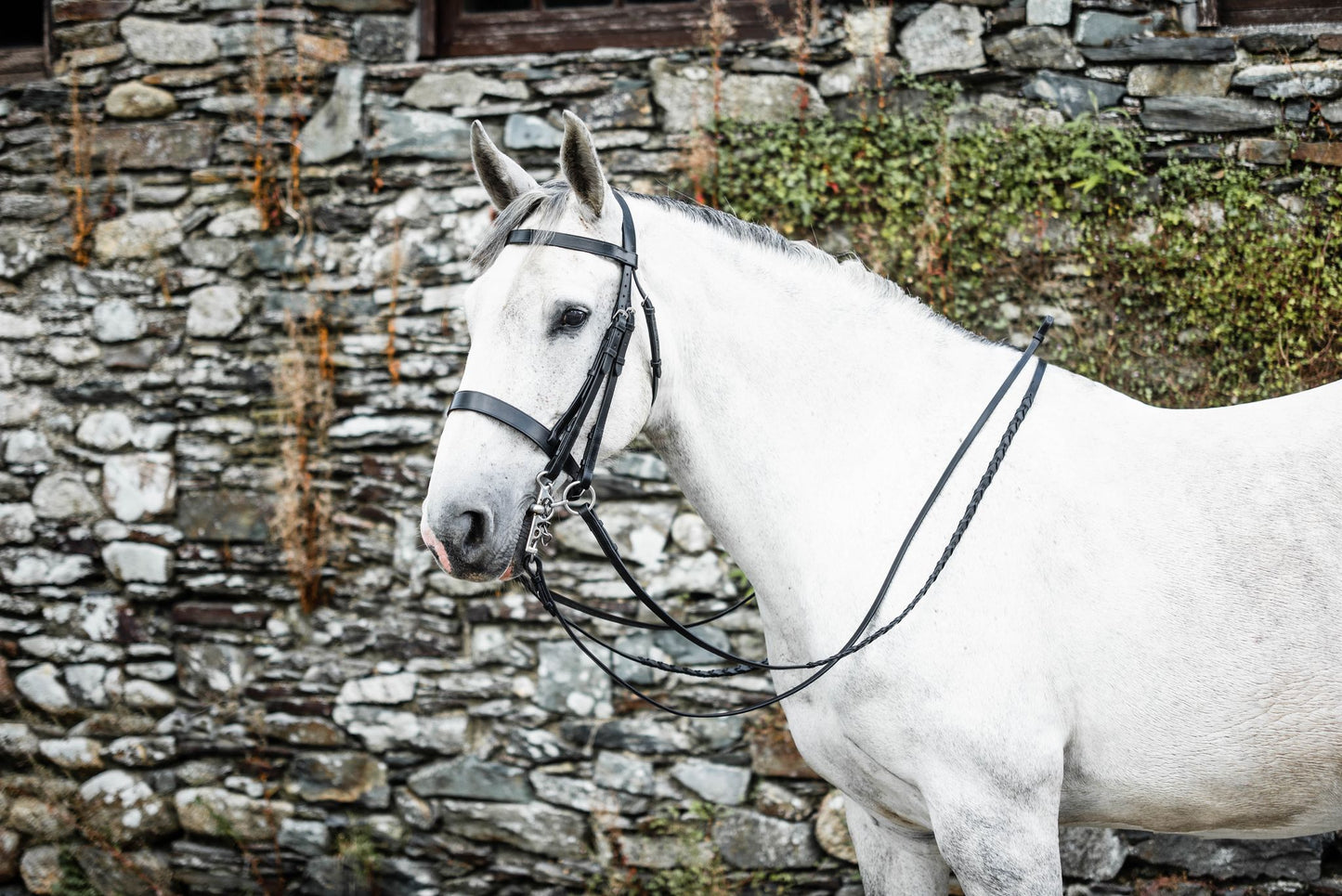 Mackey Classic Double Bridle